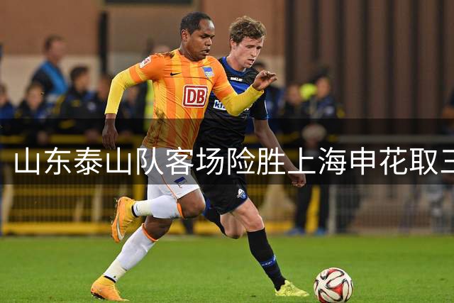 山东泰山队客场险胜上海申花取三分